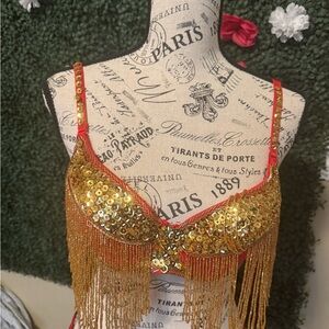 Gold and Red Sequin Fringe Costume Set